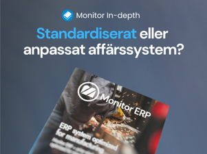 Monitor ERP brochure against a blue background